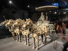 -秦始皇帝陵博物院-丽山园