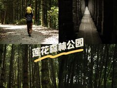 -军营村