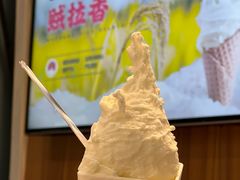 -野人先生现做冰淇淋(北京顺义祥云小镇店)