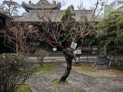 -胡氏古民居建筑