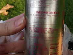 -董顺桃老长沙臭豆腐(步行街店)