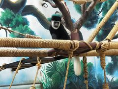 -石家庄市动物园