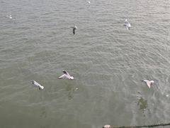 -蠡湖大桥公园