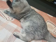 -悠米私人影院(街道口店)