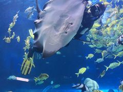 -华夏文旅海洋公园