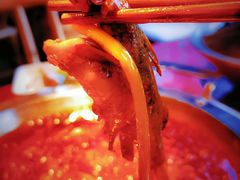 -懂食汇自助火锅