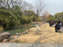 -八大山人梅湖景区