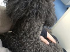 -宠颐生动物医院·心脏科·保险定点(锦阳分院)