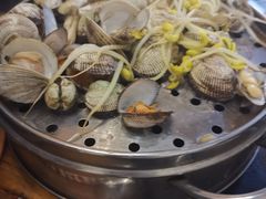 清蒸蛤蜊-九层海鲜塔(市南店)