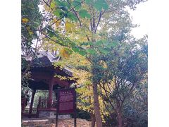 -韩湘水博园