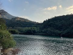 -午潮山国家森林公园