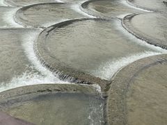 -明仕田园
