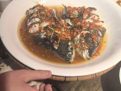 -印象鲵宴·张家界地标美食名片(溪布街店)