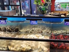 -遇上西雅图多融合海鲜自助餐厅(中房金谊广场店)