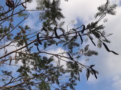 -亚龙湾国际玫瑰谷