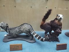 -陕西自然博物馆