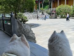 -九华山风景区