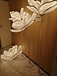 -西安伊美尔医疗美容医院