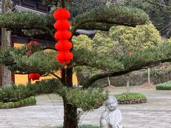 -五泄景区