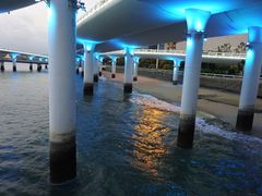 -演武大桥观景平台