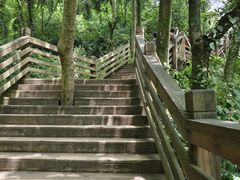 -青城山
