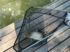 -酷鱼垂钓CLUB(朝阳区博大路店 )