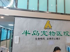 -半岛宠物医院24小时(科华中路店)