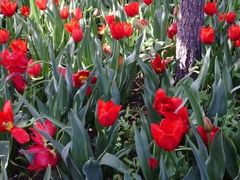 -长春公园(普阳街道)