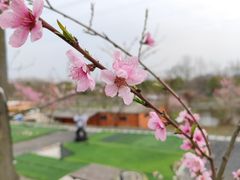 -汤山温泉房车营地 茶温泉