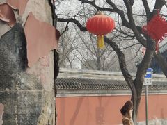 -北京国子监胡同