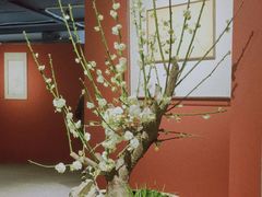 -杭州植物园