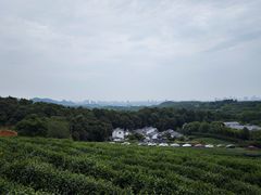 -中国茶叶博物馆(双峰馆区)