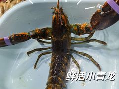 -船奇蒸汽海鲜·闽菜(八市海鲜总店)