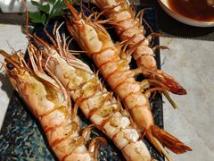 -極上萬膳·日料放题(海岸城店)