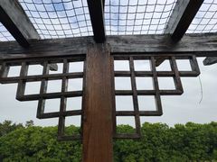 -大湾区中央湿地公园