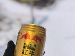 -密苑云顶乐园(云顶滑雪场)