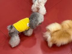 -和它·交个朋友·狗咖猫咖(爱琴海店)