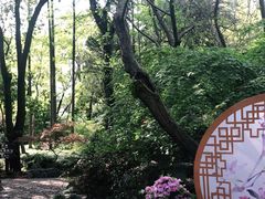 -汇龙潭