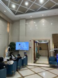 -碧莲盛·不剃发植发