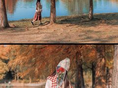 -合肥滨湖国家森林公园