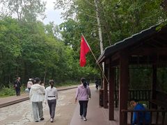 -茅兰沟国家森林公园