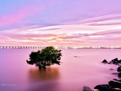 -宝安西湾红树林湿地公园