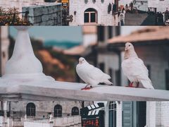 -华谊兄弟（长沙）电影小镇