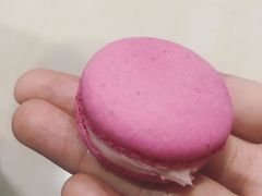 -PAUL LAFAYET 法式甜品(国金中心商场店)