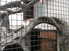 -南昌动物园