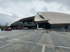 -合肥大剧院