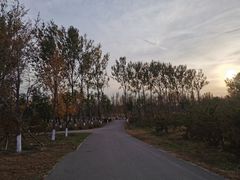 -东郊湿地公园