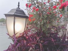 -时间仓(月湖公园店)