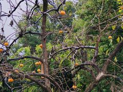 -敬亭山风景名胜区