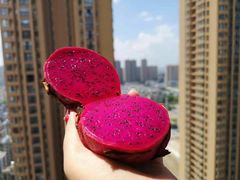 -北京清河镇农副产品交易市场中心